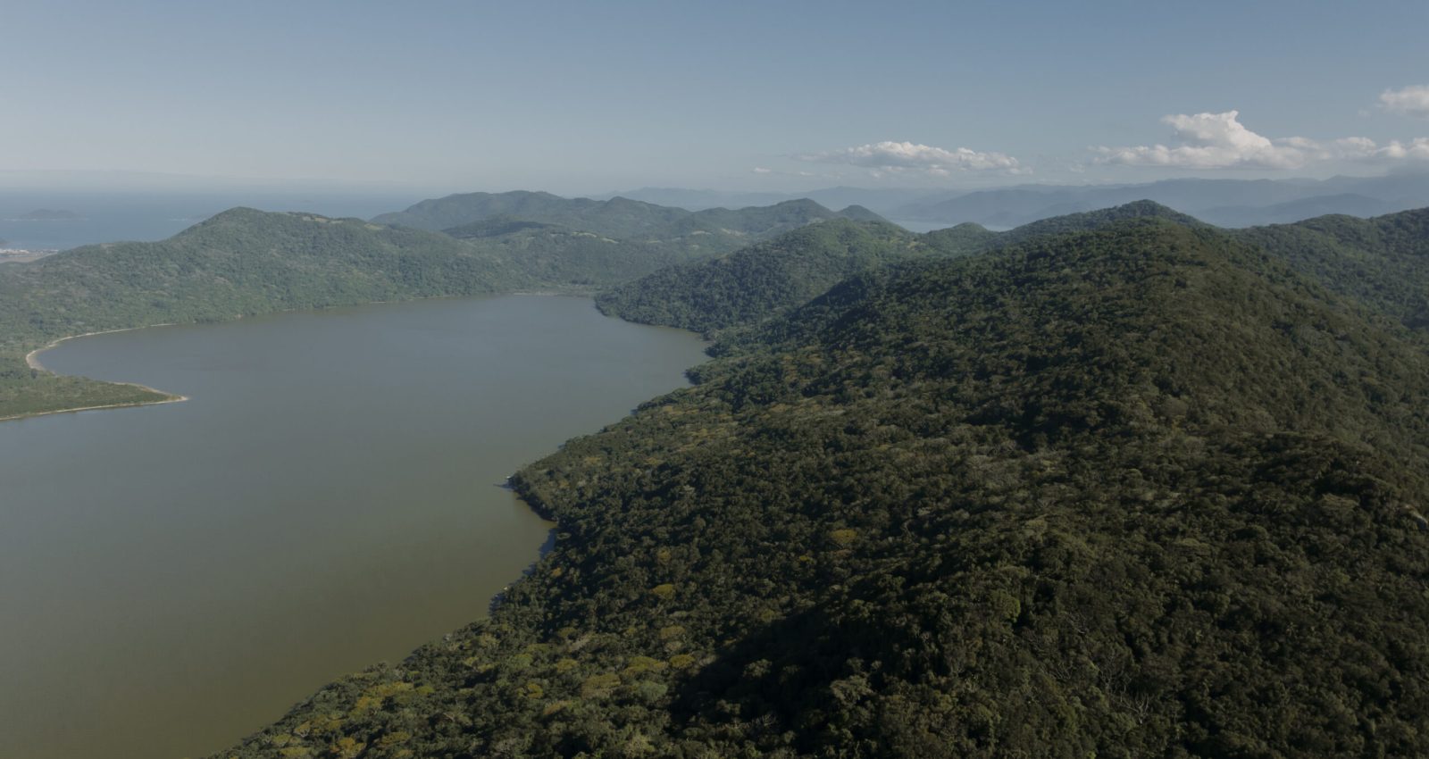 NAUS_@tomazzzoni-118 (1)