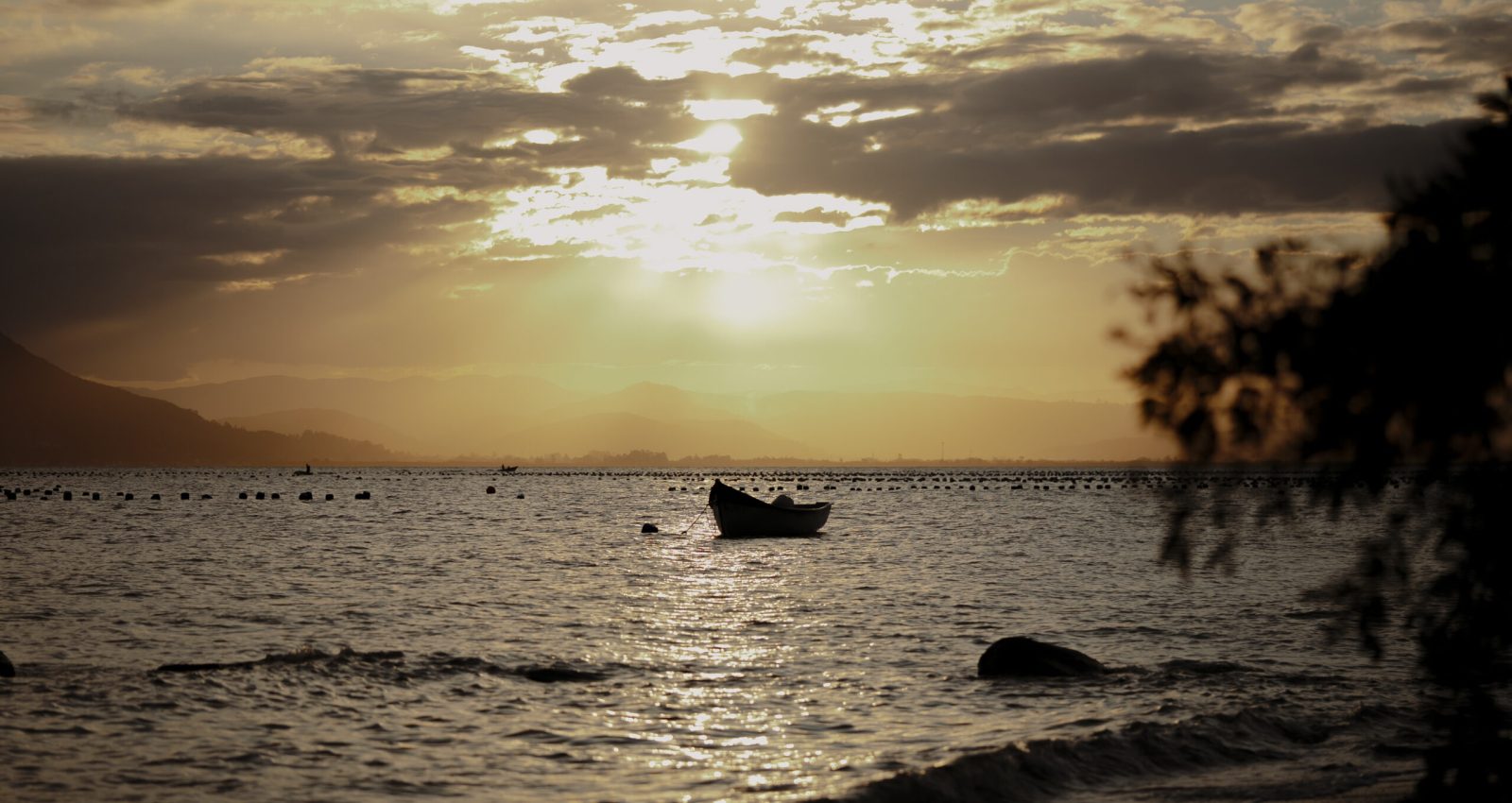 NAUS_@tomazzzoni-185